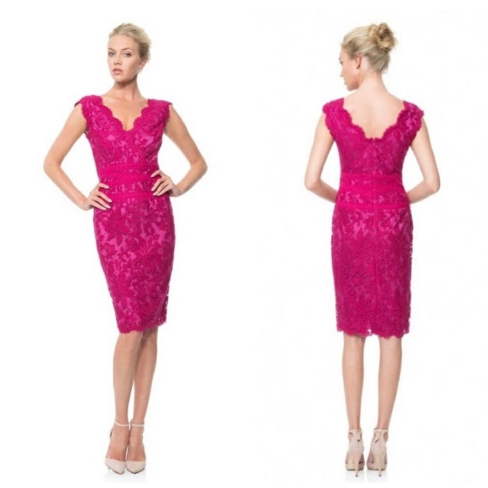 TADASHI Shoji Pink Embroidered Lace V-neck Cocktail Dress 8